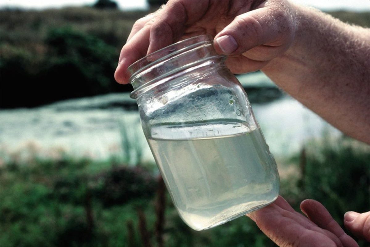 Contaminated Water Meaning In Urdu